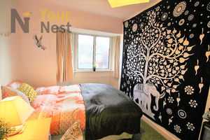 Photo 11- click for photo gallery